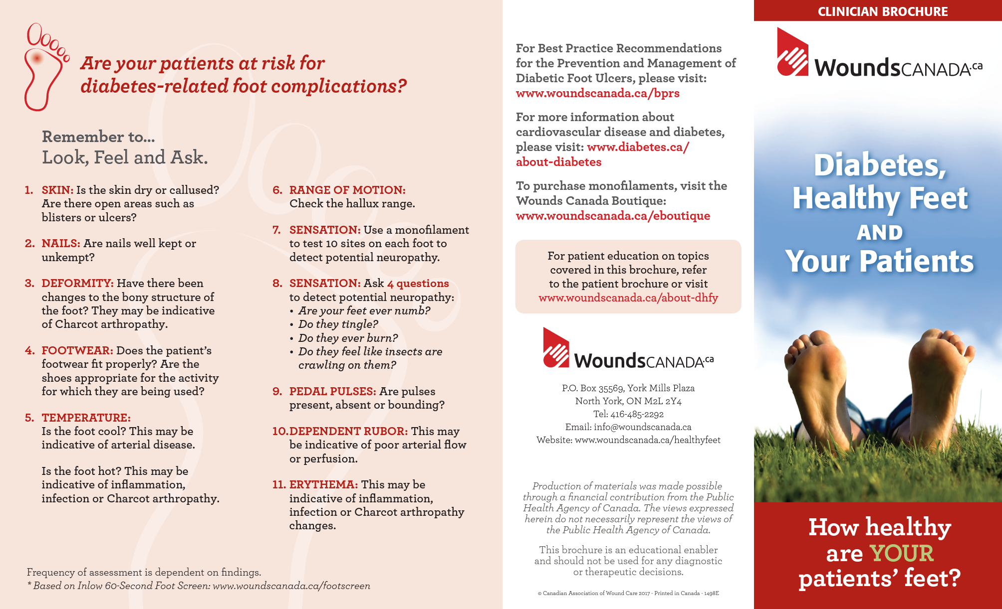 Diabetes, Healthy Feet and Your Patient: Clinician Brochure